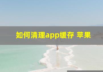 如何清理app缓存 苹果